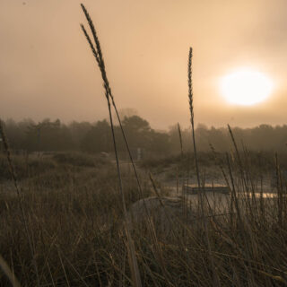 Eco-Friendly Fashion: Stylish and Sustainable Choices